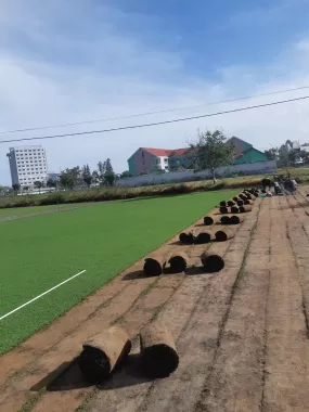 Cỏ