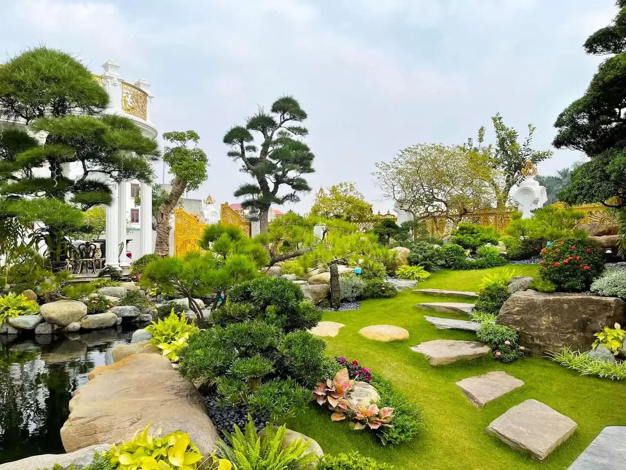 Cây cảnh Bình Dương