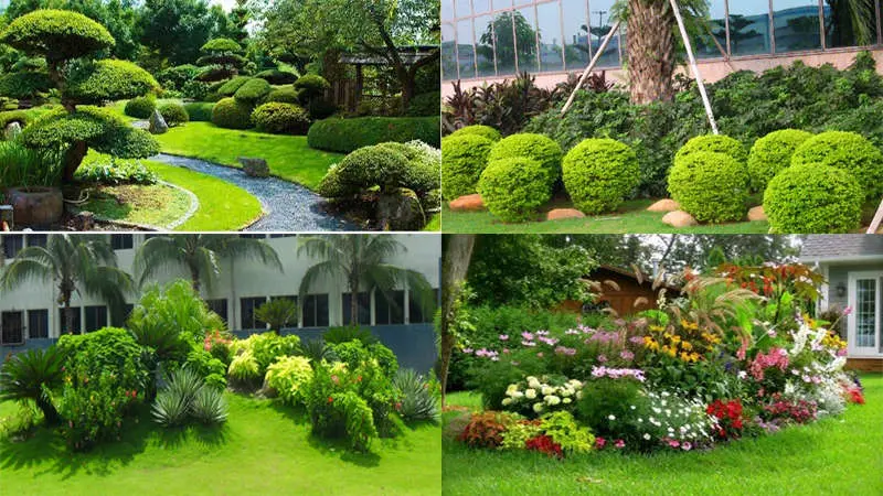Dịch Vụ Chăm S&oacute;c, Cắt Tỉa V&agrave; Di Dời C&acirc;y Xanh Tại B&igrave;nh Dương - Uy T&iacute;n, Chuy&ecirc;n Nghiệp